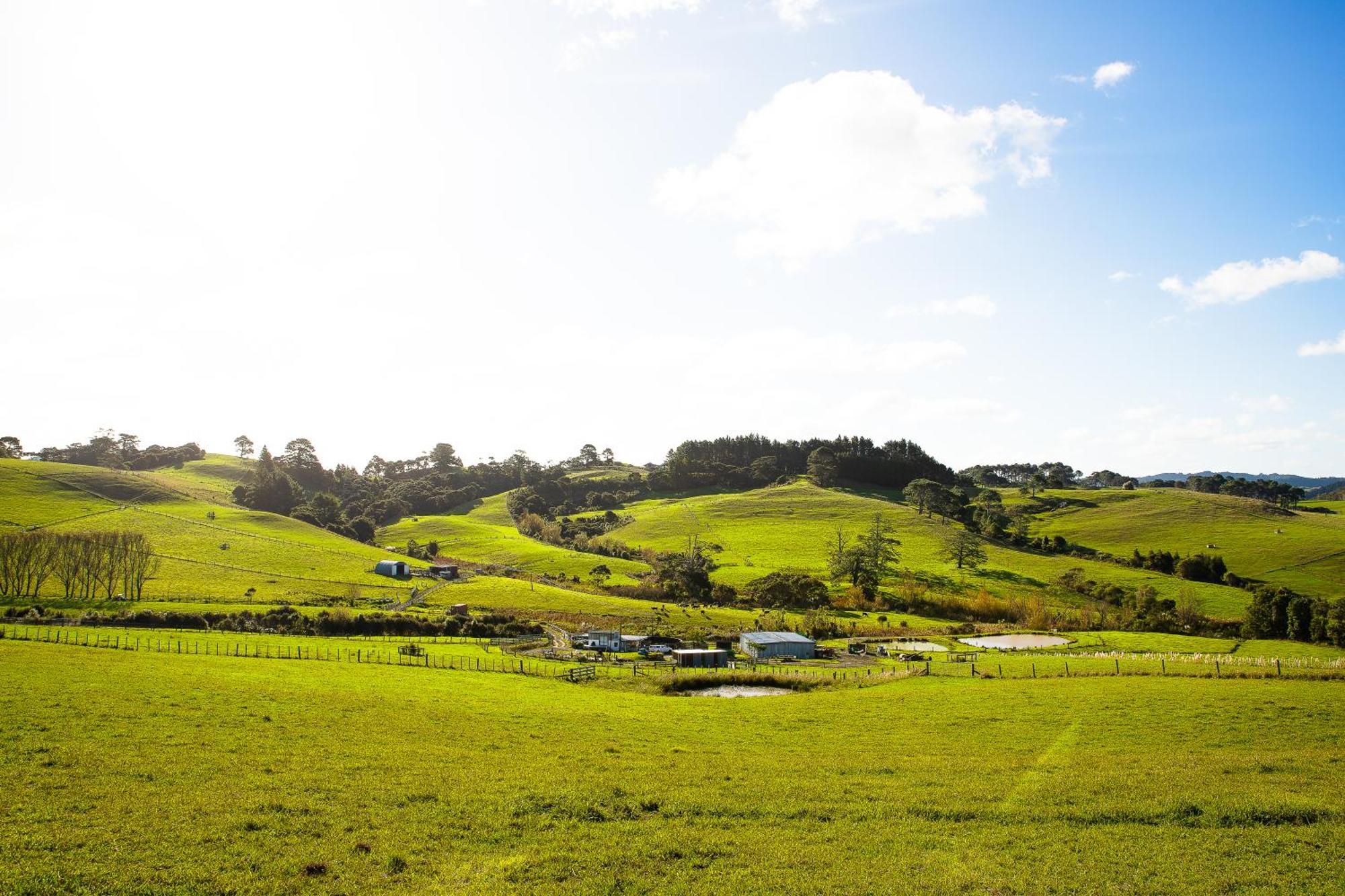 Bever Farm Waitoki Экстерьер фото