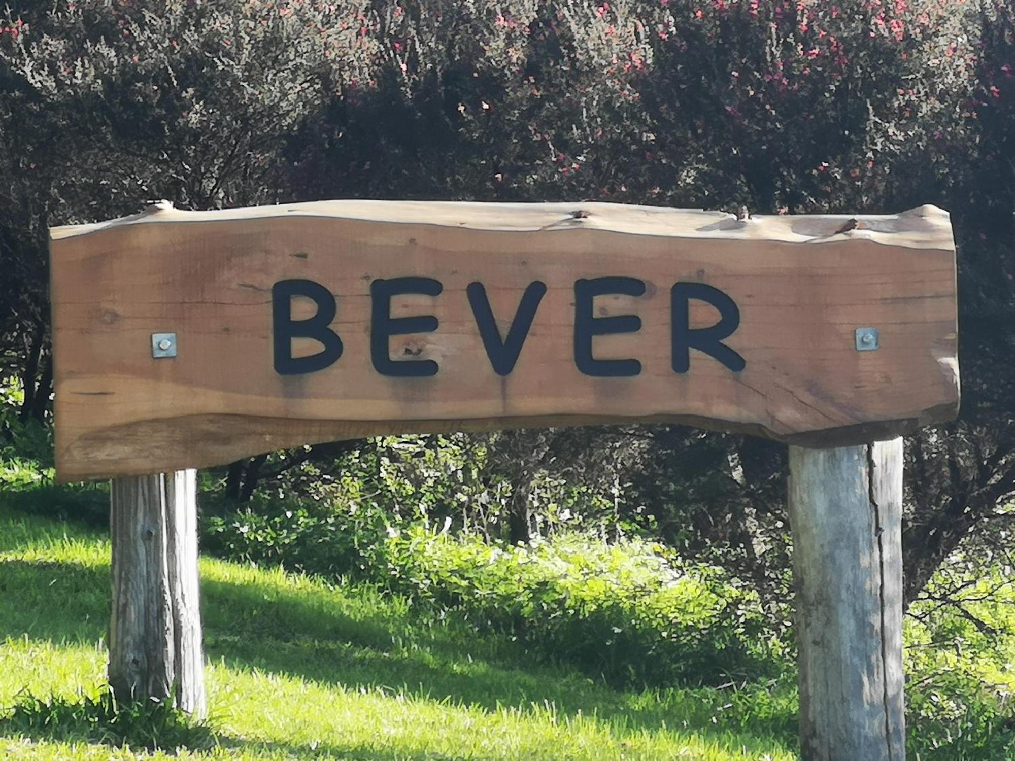 Bever Farm Waitoki Экстерьер фото